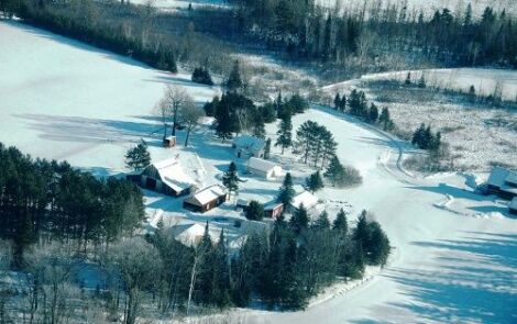 When the Cold Sets In Image